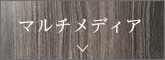 マルチメディア