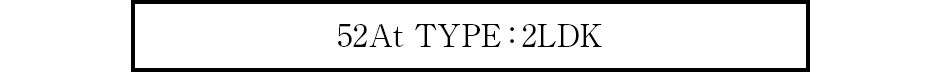 52At TYPE ：2LDK