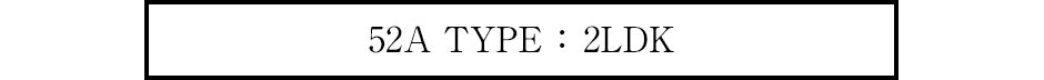 52A TYPE ：2LDK