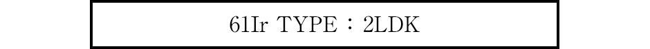 61Ir TYPE ：2LDK
