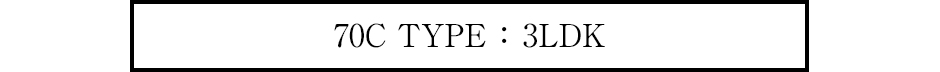 70C TYPE ：3LDK