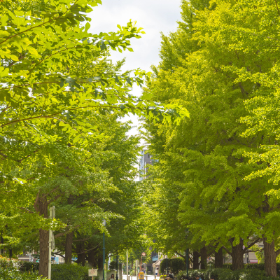 浜町公園緑道（約70m/徒歩1分）