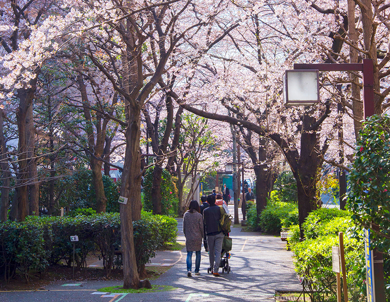 浜町川緑道（約220m／徒歩3分）