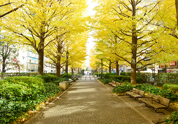 浜町公園緑道（約70m／徒歩1分）