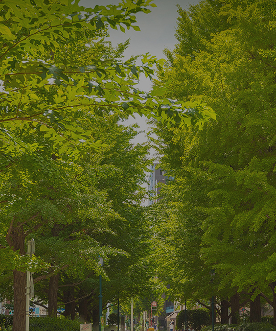 浜町公園緑道（約70m／徒歩1分）