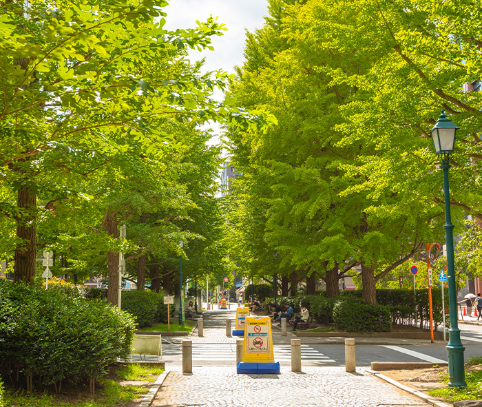 浜町公園緑道（約70m／徒歩1分）